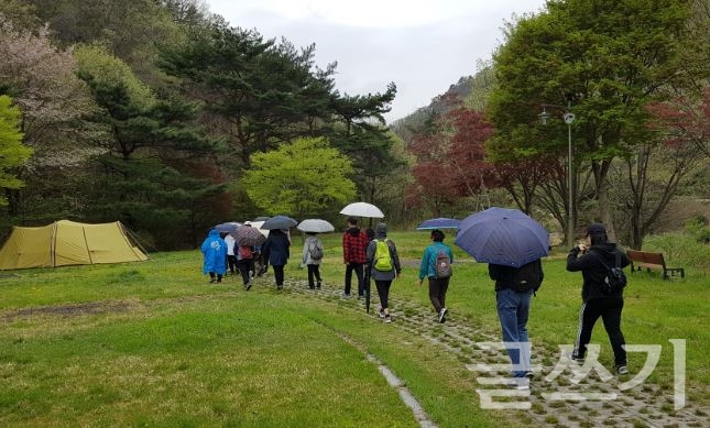 황성수 힐링스쿨 참가자들이 야외 산책을 하는 장면.