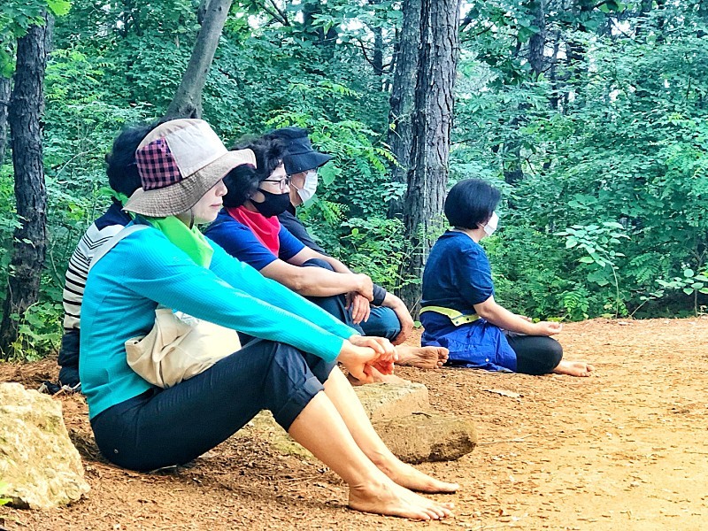 (사진=맨발걷기 숲속 힐링스쿨 네이버 카페)