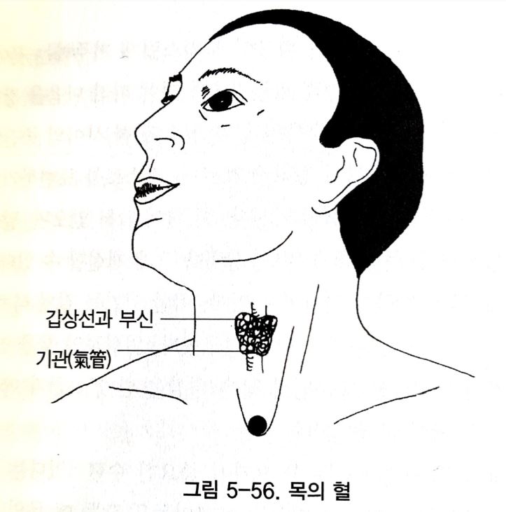 치유의 최고명약 '침' 샘솟게 하는 간단기공법