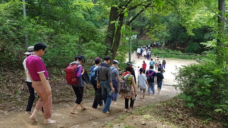 사진=맨발걷기시민운동본부