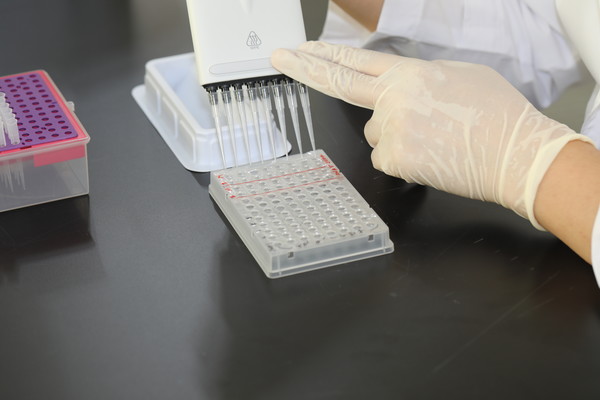 넙치의 질병을 일으키는 병원균 검사를 하여 질병 예방을 연구하는 장면. 사진=(주)블루젠 제공
