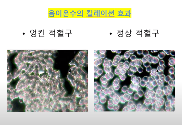 e조은물을 마신 지 2시간 뒤 측정한 생혈액검사 결과.(사진 제공=정연숙 물들임 대표)