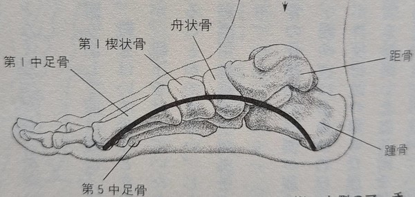 사진=오선아 지회장 제공일본 곤도(1993)