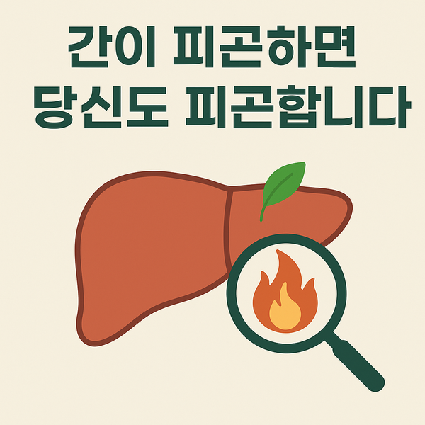 간이 피곤하면, 당신도 피곤합니다