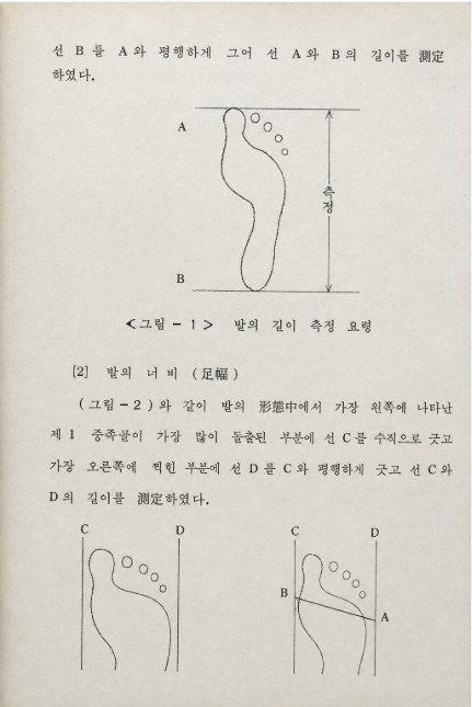 정훈교 교수의 석사논문 「발의 형태와 기초운동능력에 관한 연구」의 일부.
