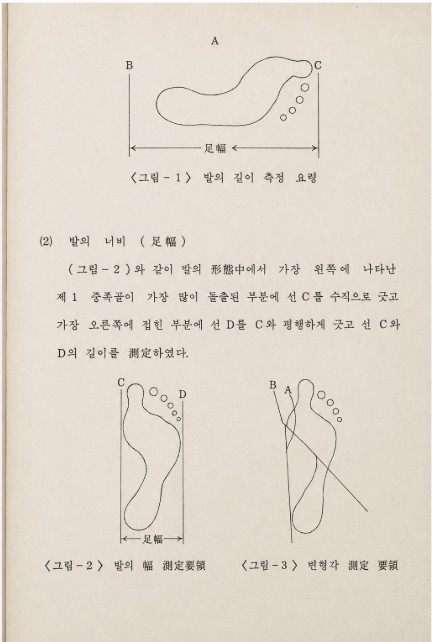 정훈교 교수의 석사논문 「발의 형태와 기초운동능력에 관한 연구」의 일부.